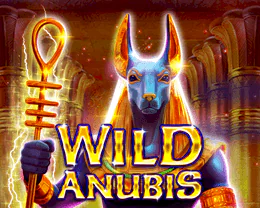 Wild Anubis