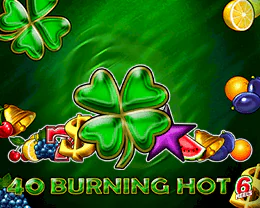 40 Burning Hot 6 Reels