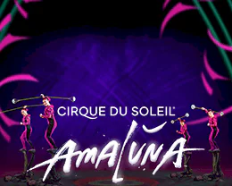Cirque Du Soleil Amaluna
