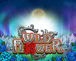 Wild Flower