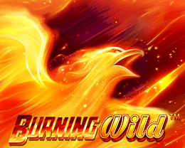 Burning Wild | Tragaperras online