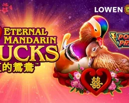 Power Prizes Eternal Mandarin Ducks