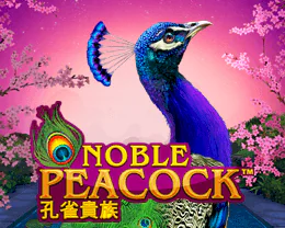 Power Prizes Noble Peacock