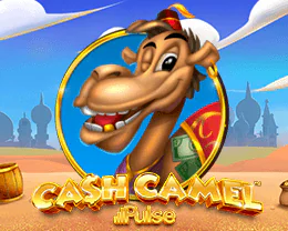 Cash Camel