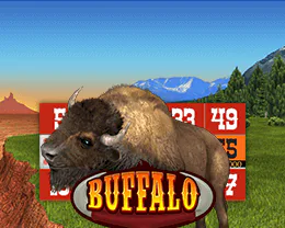 Bingo Buffalo