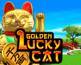 Bingo Golden Lucky Cat