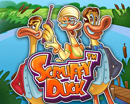 Scruffy Duck