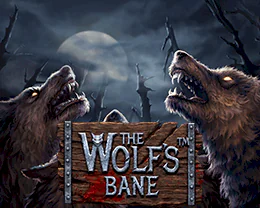 The Wolf's Night