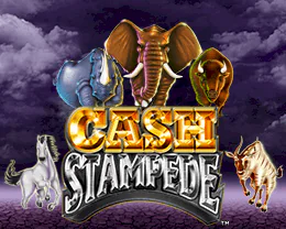 Cash Stampede