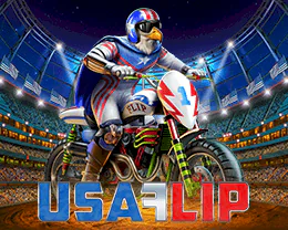 USA Flip