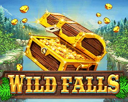 Wild Falls