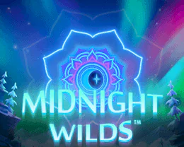 Midnight Wild