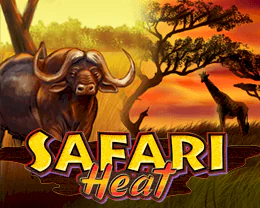 Safari Heat | Tragaperras online