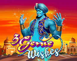 3 Genie Wishes