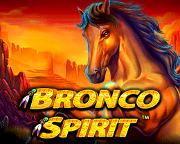 Bronco Spirit