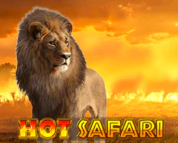 Hot Safari