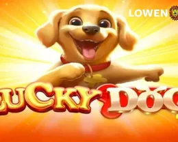 Lucky Dog