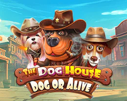 The Dog House Dog or Alive