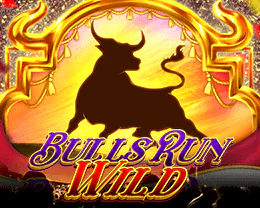 Bulls Run Wild