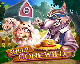 Sheep Gone Wild
