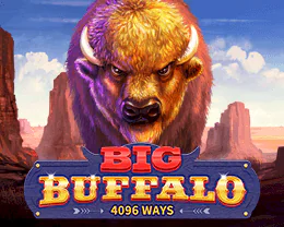 Big Buffalo