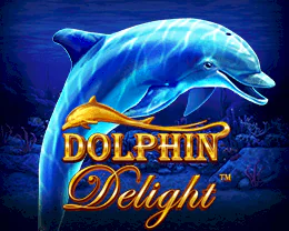 Dolphin Delight