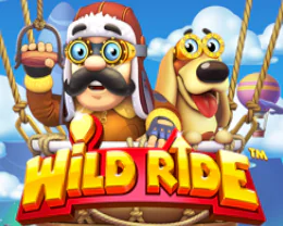 Wild Ride