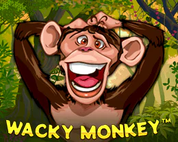 Wacky Monkey