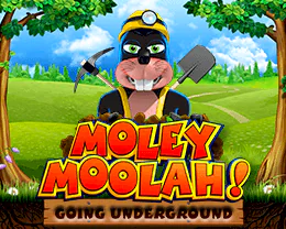 Moley Moolah Going Underground