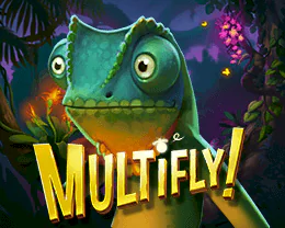 MultiFly!™