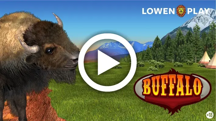 Thumb buffalo bingo video