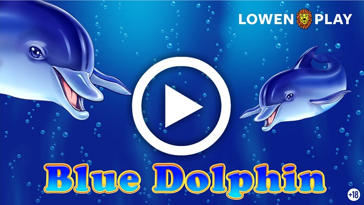 thumb blue dolphin video